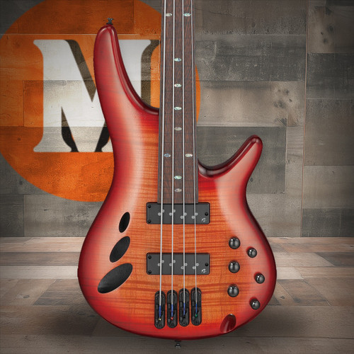 Ibanez SR Bass Workshop 4str Electric Bass - Fretless - Brown Topaz Burst Low Gloss (SRD900FBTL)|Musician Madness