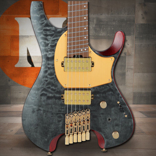 Ibanez Manuel Gardner Fernandes Signature 6 String Electric Guitar w/Bag - Obsidian Black Low Gloss (MGFM10OBL)