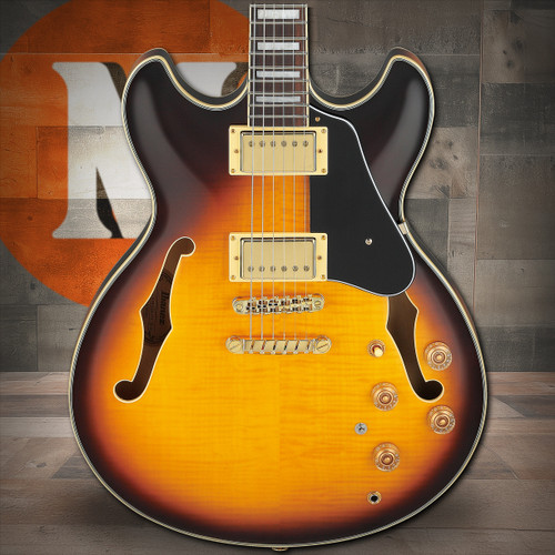 Ibanez John Scofield Signature 6 String Electric Guitar - Two-tone Burst (JSM10EMTTB) | Musician Madness