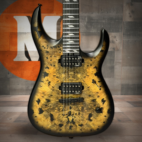 Legator N300 Pro Electric Guitar w/ Gig Bag- Death Valley  | Musician Madness