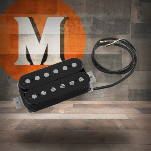 EVH Frankenstein Plus Pickup | Musician Madness