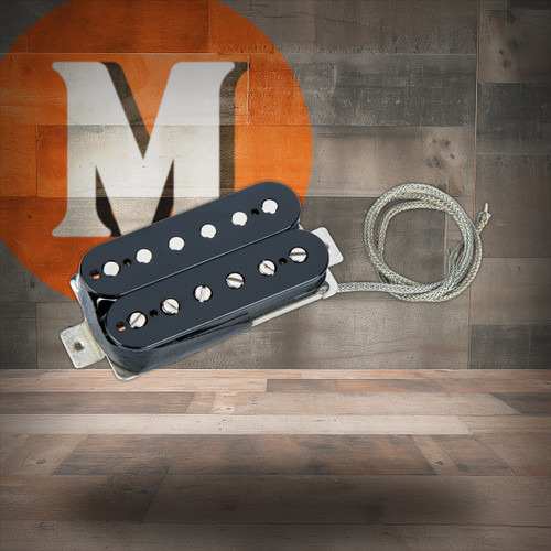 EVH Frankenstein Humbucker Pickup | Musician Madness