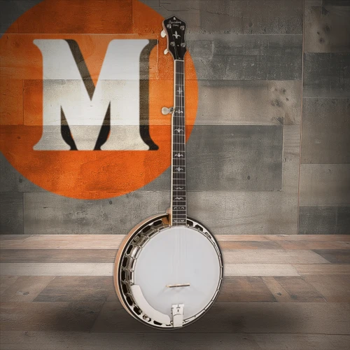 Recording King Madison Tone Ring Banjo | Musician Madness