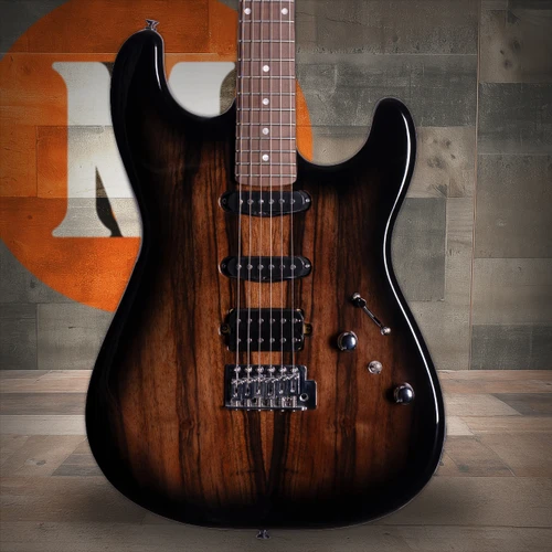 Washburn Sonamaster Elite Double Cutaway Electric Guitar - Striped Ebony (SE3SEN-U) | Musician Madness
