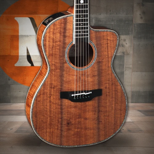 Takamine The 60TH Acoustic Guitar w/ Case (TAKTHE60TH) | Musician Madness