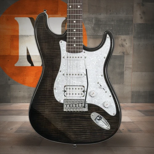 Washburn SDFTB Deluxe Electric Guitar (SDFTB) | Musician Madness