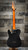 Schecter PT SPECIAL Black Pearl Schecter PT SPECIAL Black Pearl