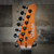Schecter PT Standard Purple Burst Burl Electric Guitar