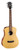 Cort ADMINIOP Standard Series Acoustic Dreadnought 3/4 Size Guitar featuring a spruce top, mahogany body, and open pore finish for light, resonant tone and easy handling.