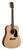 Washburn D5 Apprentice Series Dreadnought Acoustic Guitar with natural finish and full-size body – ideal for beginners and students – Musician Madness