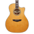 D’Angelico Gramercy Grand Auditorium CE – Vintage Natural Bundle (DAPG200VNATAPS) featuring a grand auditorium body, cutaway design, onboard electronics, natural wood finish.