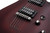 Schecter Omen-6 - Walnut Satin (WSN) (2062)