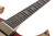 Schecter Goregehn Special Edition - Blood River Burl (4578)