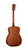 Cort AF510EOP Standard Series Acoustic Electric Concert Guitar No Fret Guitar Camp Exclusive (AF510EOP-A-U)