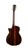 Cort ROSELYN Masterpiece Series Roselyn Redux Acoustic-Electric Guitar w/ Case - Natural Glossy (ROSELYN-U)