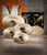 Zildjian K Sweet Cymbal Pack (KS5791)
