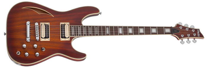 Schecter C-1 E/A