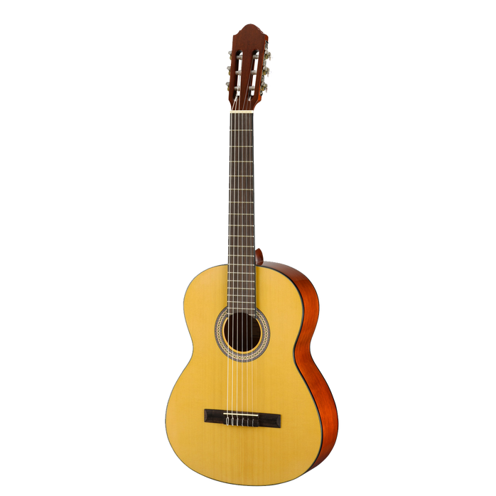 WALDEN D450 Standard Solid Spruce Top Dreadnought Acoustic - Gloss Natural