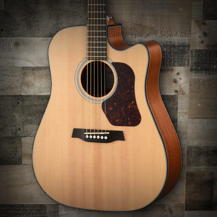 WALDEN D550CE Natura Solid Spruce Top Dreadnought Acoustic Cutaway-Electric - Open Pore Satin Natural WALDEN D550CE Natura Solid Spruce Top Dreadnought Acoustic Cutaway-Electric - Open Pore Satin Natural