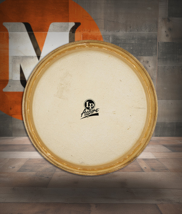 Latin Percussion LP 11" Pre-mounted Head Aspire Rawhide (LPA640B)