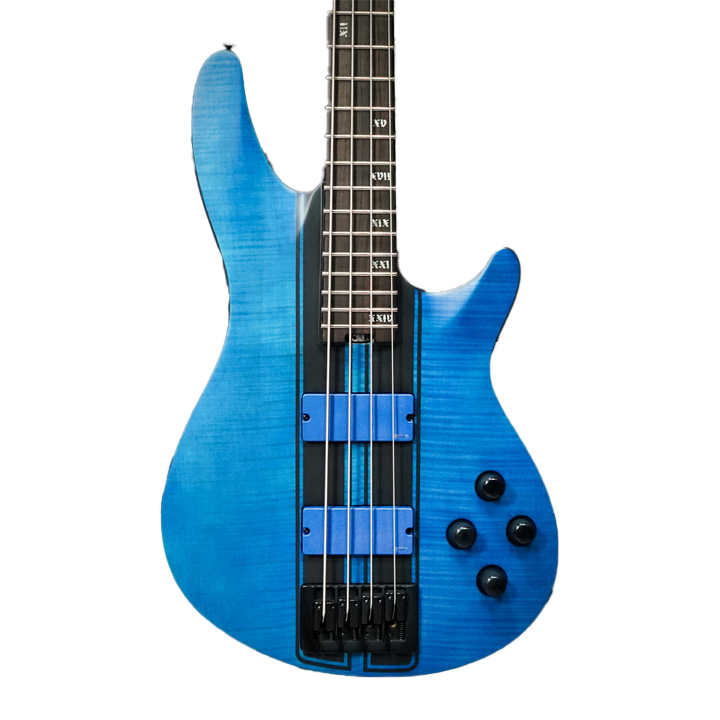 Electric Bass Guitars