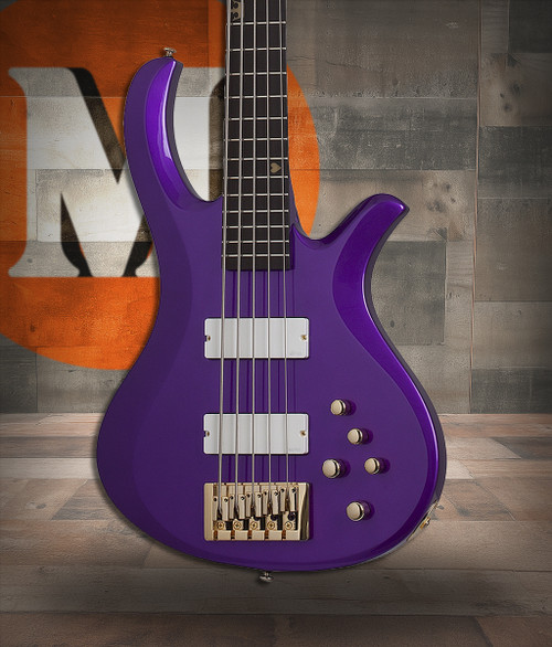 Schecter FreeZesicle Riot-5 - Freeze Purple (2298) | Musician Madness