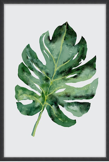 Canvas Wall Art - Green Palm Leaf AKA263-01-(SMALL 400x600)MM-OUT OF STOCK Canvas Wall Art - Green Palm Leaf AKA263-01-(SMALL 400x600)MM-OUT OF STOCK