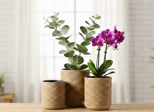 POLYRESIN PLANTER SET OF 3 - YZ04907Y-3-4-5