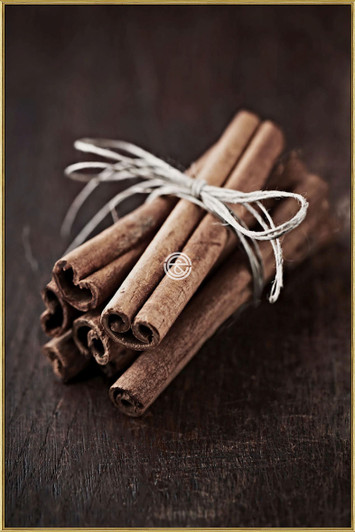 Tempered Glass Wall Art - Cinnamon Quills- SK0032-1-(80X120)CM