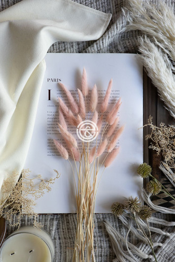 Blush Pampas Grass Bundle (411878-BLUS-AB) Blush Pampas Grass Bundle (411878-BLUS-AB)