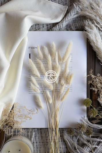 Whith Pampas Grass Bundle (411878-WHIT-AB) Whith Pampas Grass Bundle (411878-WHIT-AB)