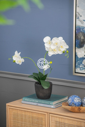 White Tall Orchid (F48339-WHIT)-OUT OF STOCK White Tall Orchid (F48339-WHIT)-OUT OF STOCK
