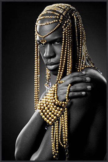 Tempered Glass Wall Art - Adorned In Gold - RF3478-1-(80X120)CM