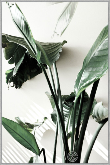 Tempered Glass Wall Art - Green Leaves A -(80X120)CM