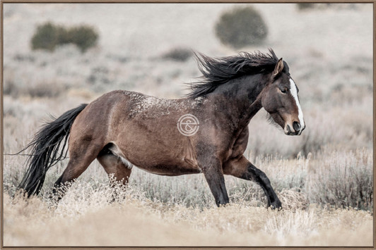 Tempered Glass Wall Art - Galloping Horse - HA0613-2(120X80)CM