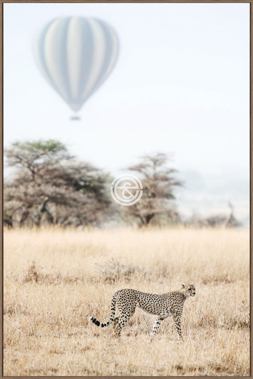 Tempered Glass Wall Art - Mara Backdrop - HC0375-2(80X120)CM