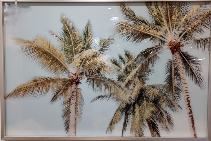 Tempered Glass Wall Art - Palm Trees BC0631-1-(120*80) CM