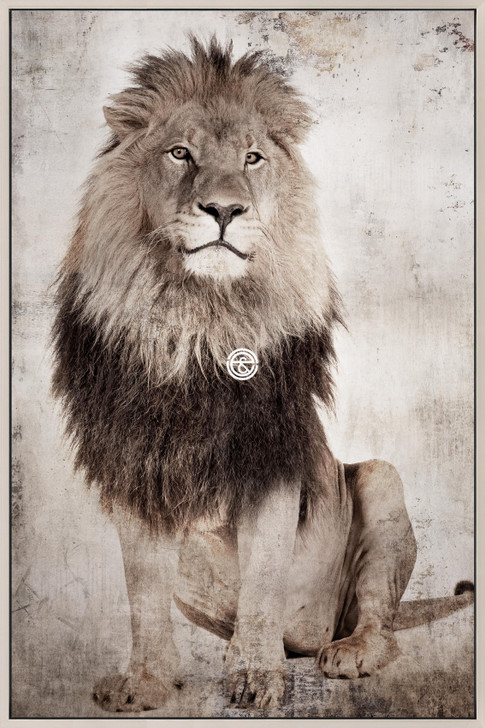 Tempered Glass Wall Art - King of the Jungle HC0502-5-(80X120)CM