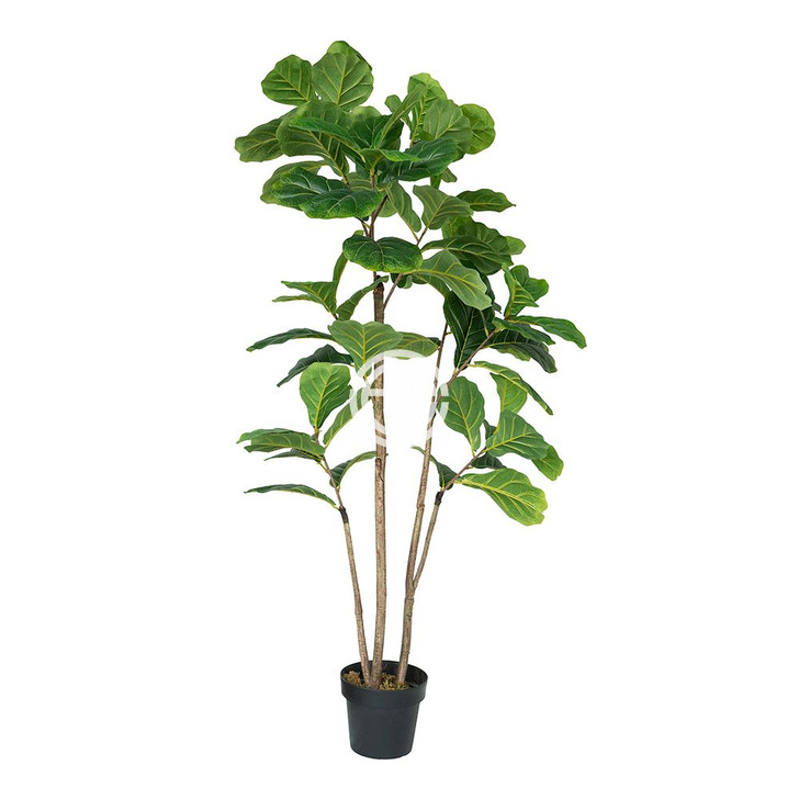 Artificial Fiddle Leaf Plant (F4536)