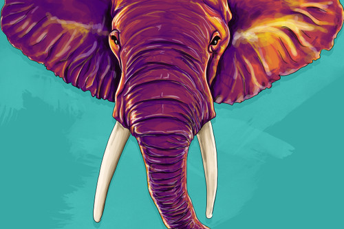 Elephant in the Room