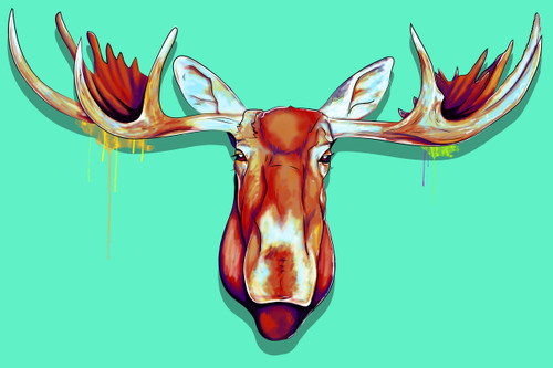 Moose Head