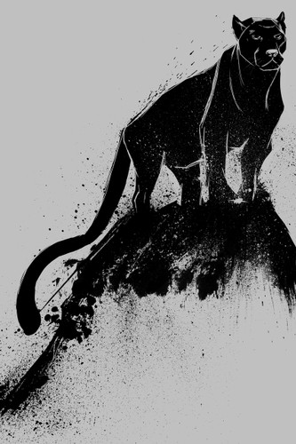 Black Panther Black Panther