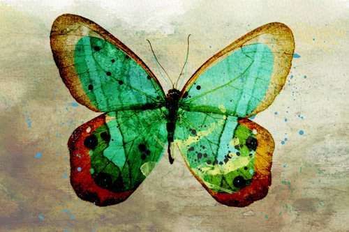 Nostalgic Butterfly Nostalgic Butterfly