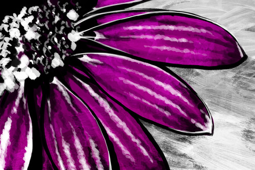 Purple Petals Purple Petals