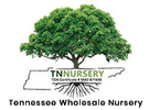 Tree Nursery Co
