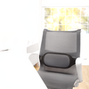 Ispire Lumbar Cushion Fits Most Chairs Fellowes