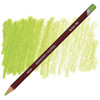Derwent #2300277 Pastel Pencil May Green P480 - Box 6 - Derwent Australia, derwent pencil, derwent colour pencils, derwent artist pencils, derwent procolour | It's A Mega Thing Derwent #2300277 Pastel Pencil May Green P480 - Box 6 - Derwent Australia, derwent pencil, derwent colour pencils, derwent artist pencils, derwent procolour | It's A Mega Thing