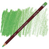 Derwent #2300275 Pastel Pencil Emerald Green P460 - Box 6 - derwent colour pencils, derwent artist pencils, derwent procolour | It's A Mega Thing