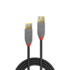 1m USB 3.0 Type A to A Extension Cable Anthra Line Lindy