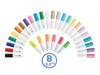 Pilot Pintor Marker Broad Neon Assorted Colours Wallet of 4